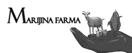 Marijina